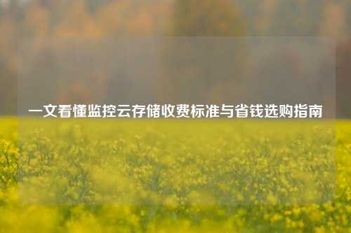 一文看懂监控云存储收费标准与省钱选购指南