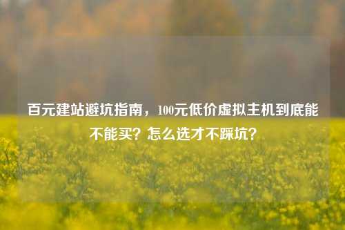 百元建站避坑指南，100元低价虚拟主机到底能不能买？怎么选才不踩坑？