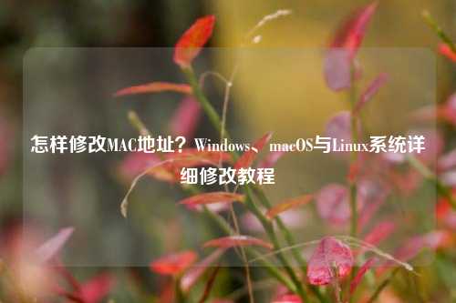 怎样修改MAC地址？Windows、macOS与Linux系统详细修改教程