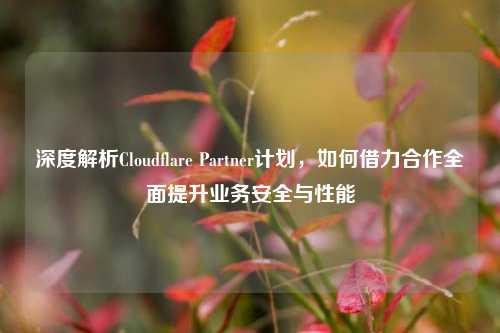 深度解析Cloudflare Partner计划，如何借力合作全面提升业务安全与性能