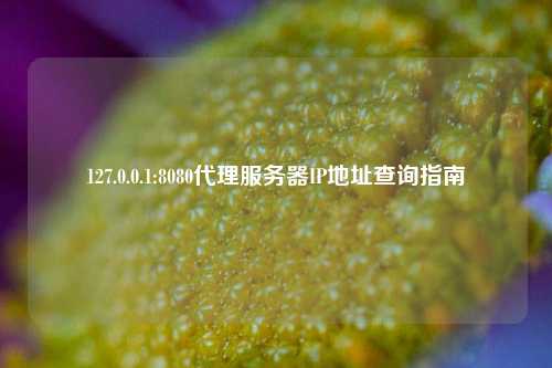 127.0.0.1:8080代理服务器IP地址查询指南