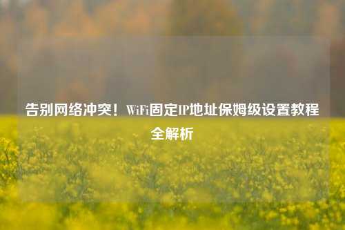 告别网络冲突！WiFi固定IP地址保姆级设置教程全解析