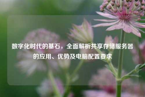 数字化时代的基石，全面解析共享存储服务器的应用、优势及电脑配置要求