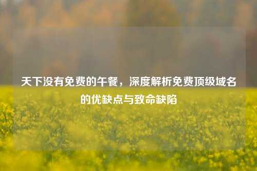 天下没有免费的午餐，深度解析免费顶级域名的优缺点与致命缺陷