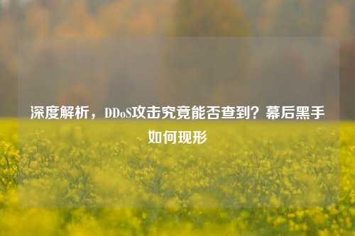 深度解析，DDoS攻击究竟能否查到？幕后黑手如何现形