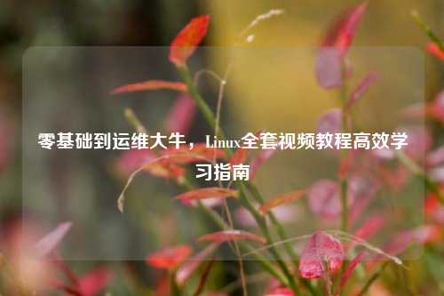 零基础到运维大牛,Linux全套视频教程高效学习指南