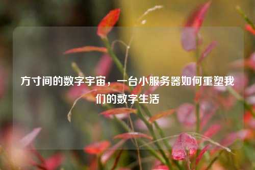 方寸间的数字宇宙，一台小服务器如何重塑我们的数字生活
