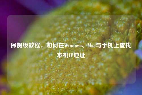 保姆级教程，如何在Windows、Mac与手机上查找本机IP地址