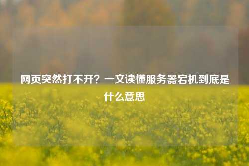 网页突然打不开?一文读懂服务器宕机到底是什么意思
