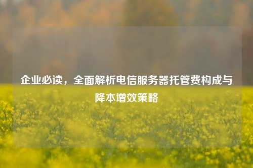 企业必读,全面解析电信服务器托管费构成与降本增效策略