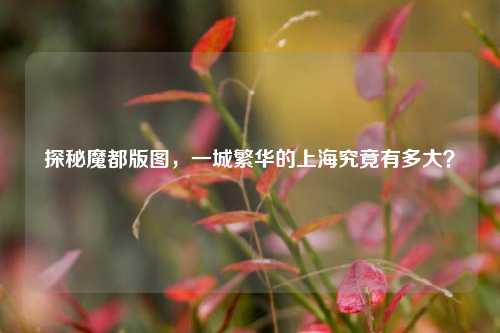 探秘魔都版图,一城繁华的上海究竟有多大?