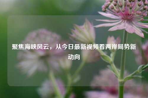 聚焦海峡风云,从今日最新视频看两岸局势新动向