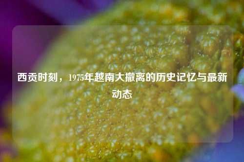 西贡时刻,1975年越南大撤离的历史记忆与最新动态