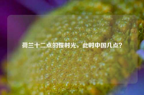 荷兰十二点的慢时光,此时中国几点?