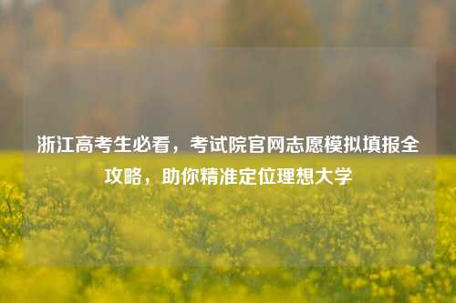 浙江高考生必看,考试院官网志愿模拟填报全攻略,助你精准定位理想大学