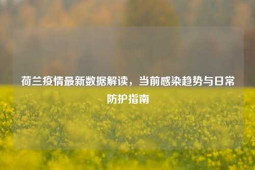 荷兰疫情最新数据解读，当前感染趋势与日常防护指南