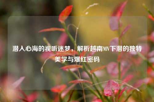 潜入心海的视听迷梦，解析越南MV下潜的独特美学与爆红密码