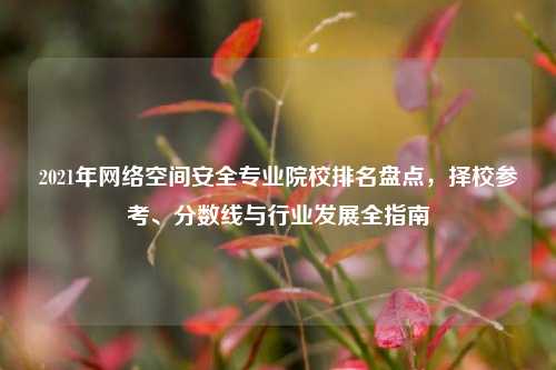 2021年网络空间安全专业院校排名盘点,择校参考、分数线与行业发展全指南