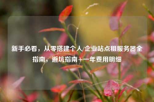 新手必看,从零搭建个人/企业站点租服务器全指南,避坑指南+一年费用明细