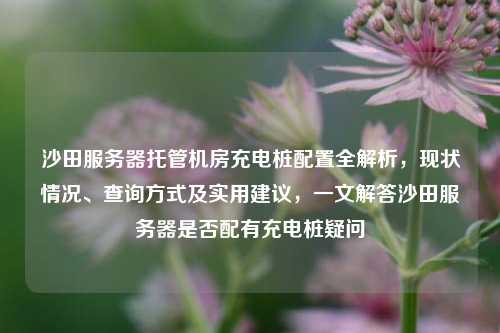 沙田服务器托管机房充电桩配置全解析,现状情况、查询方式及实用建议,一文解答沙田服务器是否配有充电桩疑问