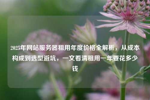 2025年网站服务器租用年度价格全解析,从成本构成到选型避坑,一文看清租用一年要花多少钱