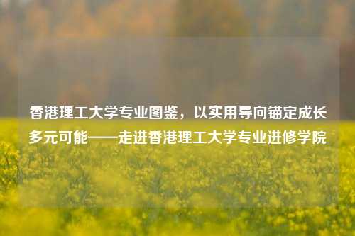 香港理工大学专业图鉴,以实用导向锚定成长多元可能——走进香港理工大学专业进修学院
