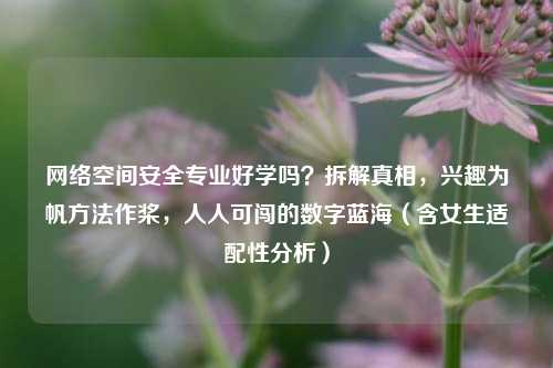 网络空间安全专业好学吗？拆解真相，兴趣为帆方法作桨，人人可闯的数字蓝海（含女生适配性分析）