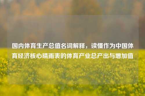 国内体育生产总值名词解释，读懂作为中国体育经济核心晴雨表的体育产业总产出与增加值