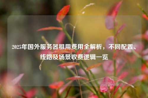 2025年国外服务器租用费用全解析，不同配置、线路及场景收费逻辑一览