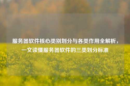 服务器软件核心类别划分与各类作用全解析，一文读懂服务器软件的三类划分标准