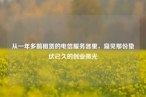 从一年多前租赁的电信服务器里，窥见那份蛰伏已久的创业微光