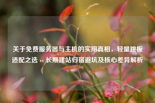 关于免费服务器与主机的实用真相，轻量跳板适配之选 vs 长期建站归宿避坑及核心差异解析