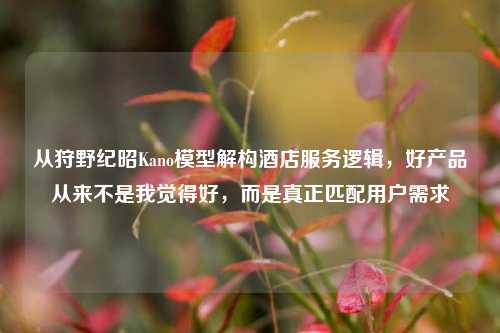从狩野纪昭Kano模型解构酒店服务逻辑,好产品从来不是我觉得好,而是真正匹配用户需求