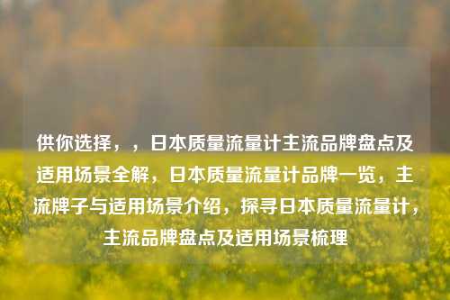 供你选择，，日本质量流量计主流品牌盘点及适用场景全解，日本质量流量计品牌一览，主流牌子与适用场景介绍，探寻日本质量流量计，主流品牌盘点及适用场景梳理