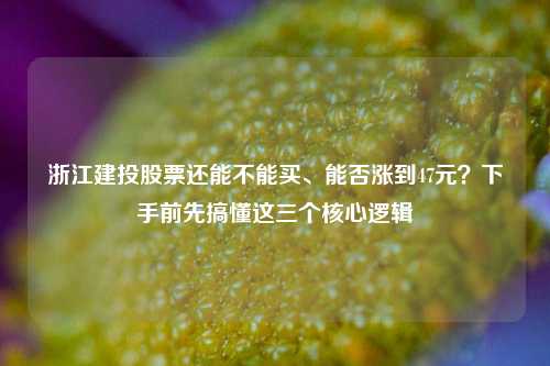 浙江建投股票还能不能买、能否涨到47元?下手前先搞懂这三个核心逻辑