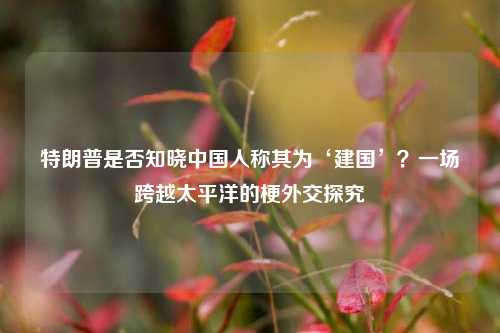 特朗普是否知晓中国人称其为‘建国’?一场跨越太平洋的梗外交探究