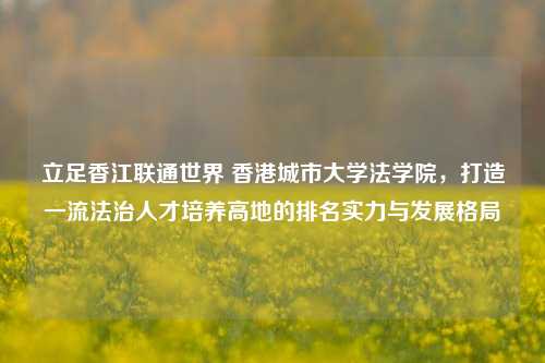 立足香江联通世界 香港城市大学法学院，打造一流法治人才培养高地的排名实力与发展格局