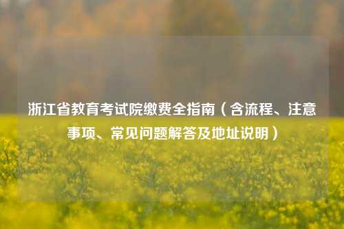 浙江省教育考试院缴费全指南(含流程、注意事项、常见问题解答及地址说明)