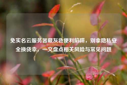 免实名云服务器藏灰色便利陷阱，别拿隐私安全换侥幸，一文盘点相关风险与常见问题