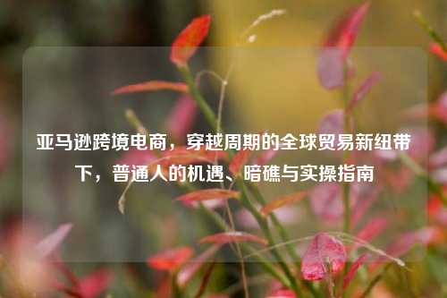 亚马逊跨境电商，穿越周期的全球贸易新纽带下，普通人的机遇、暗礁与实操指南