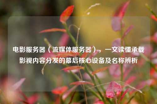 电影服务器（流媒体服务器），一文读懂承载影视内容分发的幕后核心设备及名称辨析
