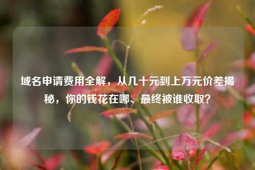 域名申请费用全解，从几十元到上万元价差揭秘，你的钱花在哪、最终被谁收取？
