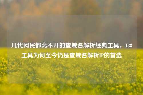 几代网民都离不开的查域名解析经典工具,138工具为何至今仍是查域名解析IP的首选