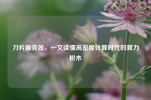 刀片服务器，一文读懂高密度计算时代的算力积木