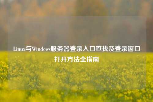 Linux与Windows服务器登录入口查找及登录窗口打开方法全指南