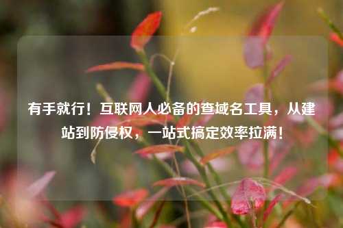 有手就行!互联网人必备的查域名工具,从建站到防侵权,一站式搞定效率拉满!