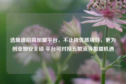 选靠谱招商加盟平台，不止找优质项目，更为创业加安全锁 平台可对接五粮液等加盟机遇
