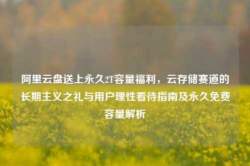 阿里云盘送上永久2T容量福利，云存储赛道的长期主义之礼与用户理性看待指南及永久免费容量解析
