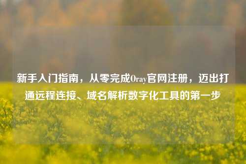 新手入门指南，从零完成Oray官网注册，迈出打通远程连接、域名解析数字化工具的第一步