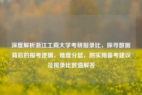 深度解析浙江工商大学考研报录比，探寻数据背后的报考逻辑、难度分层，附实用备考建议及报录比数值解答